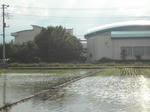 DSCF0888.JPG