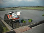 DSCF0883.JPG