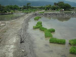 DSCF0926.JPG
