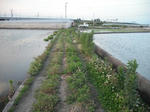DSCF0930.JPG