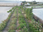 DSCF0931.JPG