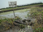 DSCF0940.JPG