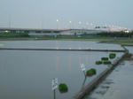 DSCF0948.JPG