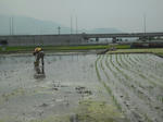 DSCF1005.JPG