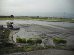 DSCF1016.JPG