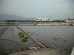 DSCF1017.JPG