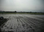 DSCF1019.JPG