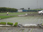 DSCF1026.JPG