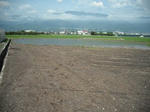 DSCF1029.JPG