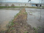 DSCF1033.JPG