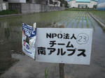 DSCF1038.JPG