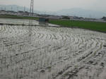 DSCF1045.JPG