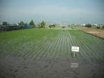 DSCF1055.JPG