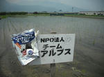 DSCF1056.JPG