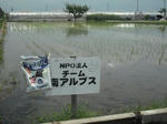 DSCF1059.JPG