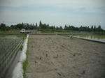 DSCF1064.JPG
