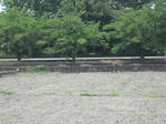 DSCF1066.JPG