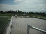 DSCF1087.JPG