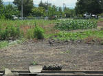 DSCF1089.JPG