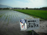 DSCF1103.JPG