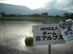DSCF1117.JPG