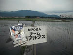 DSCF1121.JPG