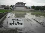 DSCF1181.JPG