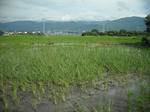 DSCF1259.JPG