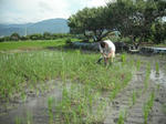 DSCF1260.JPG