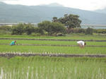 DSCF1265.JPG