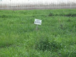 DSCF1296.JPG
