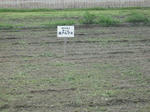 DSCF1298.JPG
