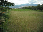 DSCF1300.JPG