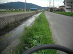 DSCF1306.JPG