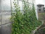 DSCF1311.JPG