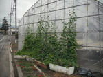 DSCF1312.JPG