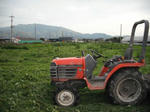 DSCF1347.JPG