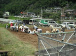 DSCF1371.JPG