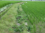 DSCF1430.JPG