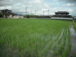 DSCF1486.JPG