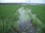 DSCF1501.JPG