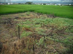 DSCF1594.JPG