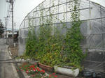 DSCF1779.JPG