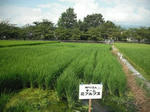 DSCF1922.JPG