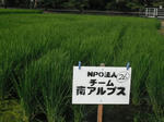 DSCF1923.JPG