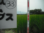 DSCF2004.JPG