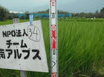 DSCF2005.JPG