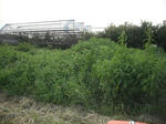 DSCF2013.JPG