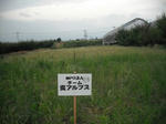 DSCF2027.JPG