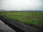 DSCF2028.JPG